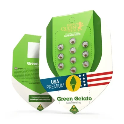 Green Gelato Auto – Bild 2