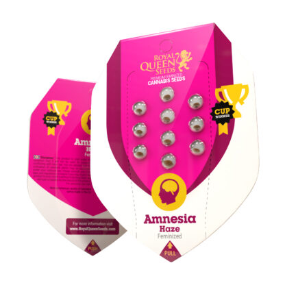 Amnesia Haze – Bild 5