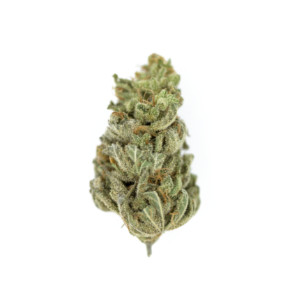 Amnesia Haze – Bild 4