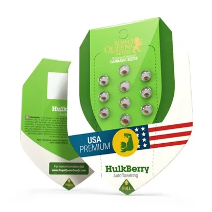 HulkBerry Auto – Bild 4